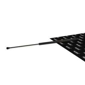 RIDEX Vérin de capot 514G0102