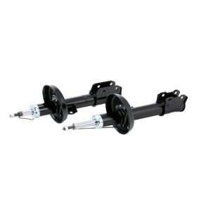 RIDEX Shock absorber 854S1565