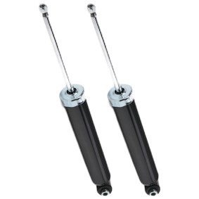 RIDEX Shock absorber 854S1938