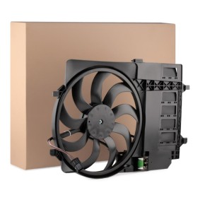 RIDEX Motoventilateur 508R0095