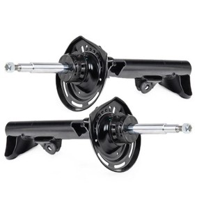 RIDEX Amortisseur 854S2250