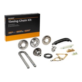 RIDEX Timing chain kit 1389T2442