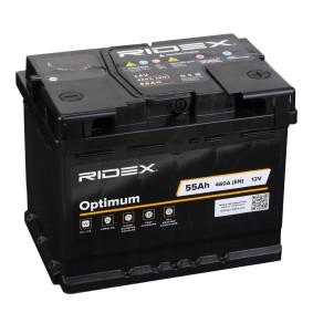 RIDEX Batterie 1S0104