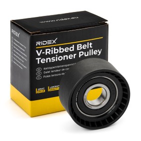 RIDEX Tensioner pulley 310T0487