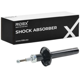 RIDEX Shock absorber 854S18173