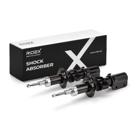 RIDEX Shock absorber 854S18287