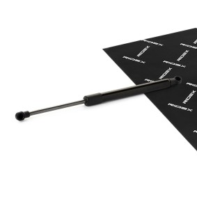 RIDEX Vérin de coffre 219G1122