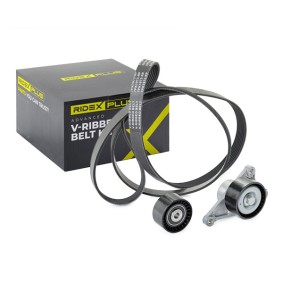 RIDEX <span>PLUS</span> V-Ribbed Belt Set 542R0022P
