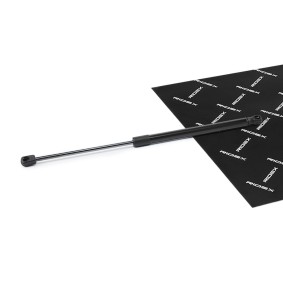 RIDEX Vérin de coffre 219G1172