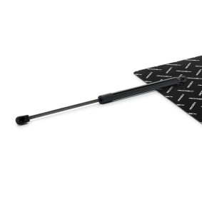 RIDEX Tailgate strut 219G1235