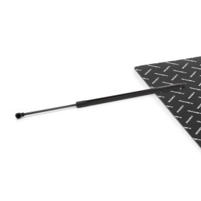 RIDEX Vérin de coffre 219G1295