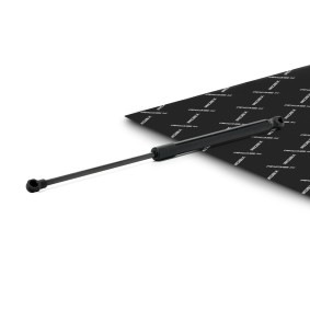 RIDEX Vérin de coffre 219G1422