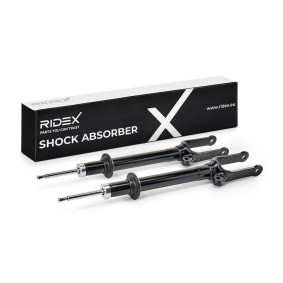 RIDEX Shock absorber 854S19306