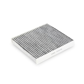 RIDEX Filtre d'habitacle 424I0195