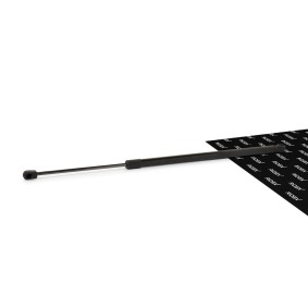 RIDEX Vérin de coffre 219G0155