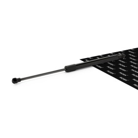 RIDEX Vérin de capot 514G0030